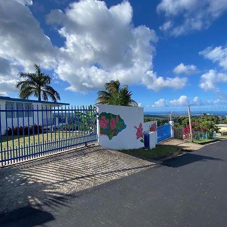 Villa Million Dollar View In Puerto Rico Luquillo Exterior foto