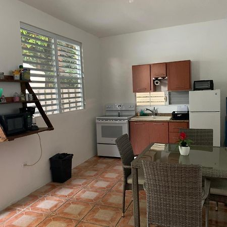 Villa Million Dollar View In Puerto Rico Luquillo Exterior foto