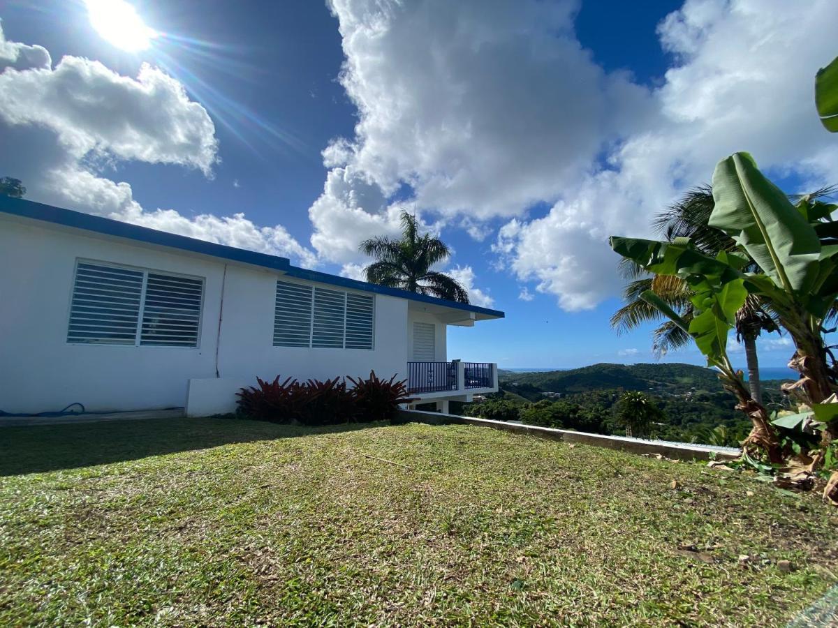 Villa Million Dollar View In Puerto Rico Luquillo Exterior foto