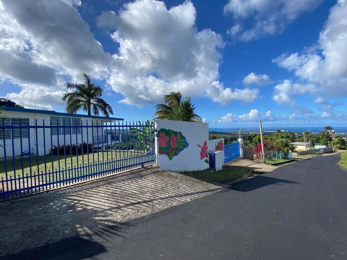 Villa Million Dollar View In Puerto Rico Luquillo Exterior foto