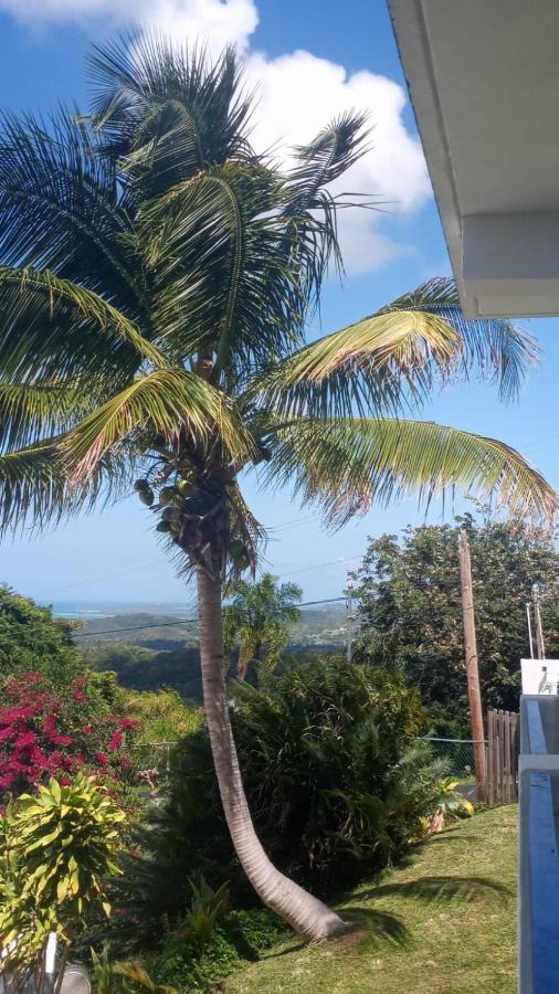 Villa Million Dollar View In Puerto Rico Luquillo Exterior foto