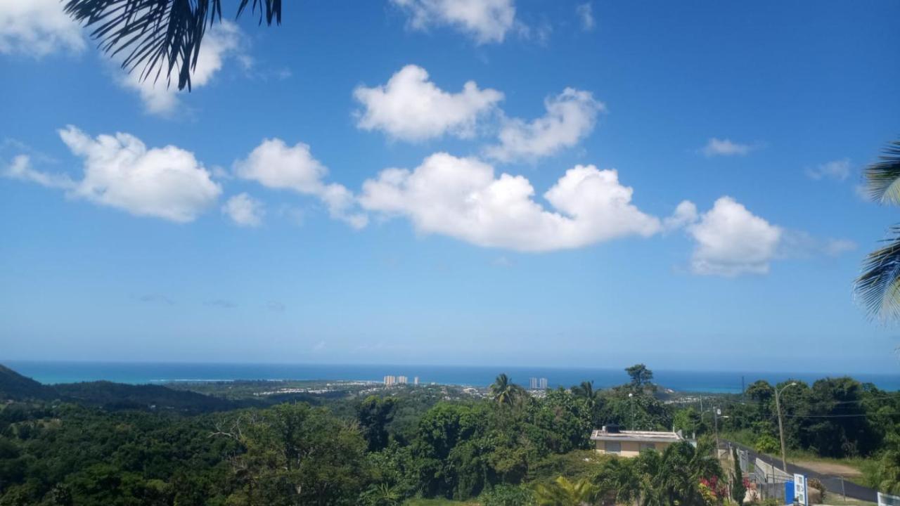 Villa Million Dollar View In Puerto Rico Luquillo Exterior foto
