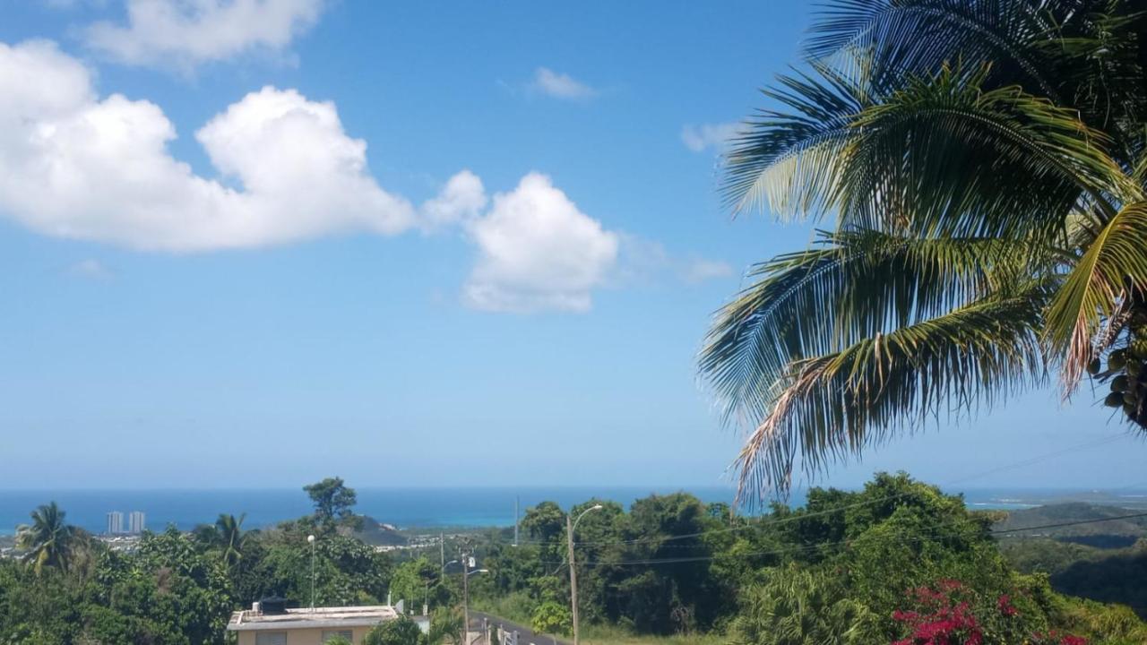 Villa Million Dollar View In Puerto Rico Luquillo Exterior foto