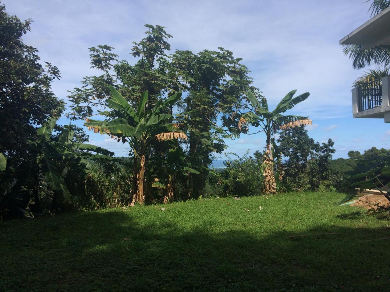 Villa Million Dollar View In Puerto Rico Luquillo Exterior foto